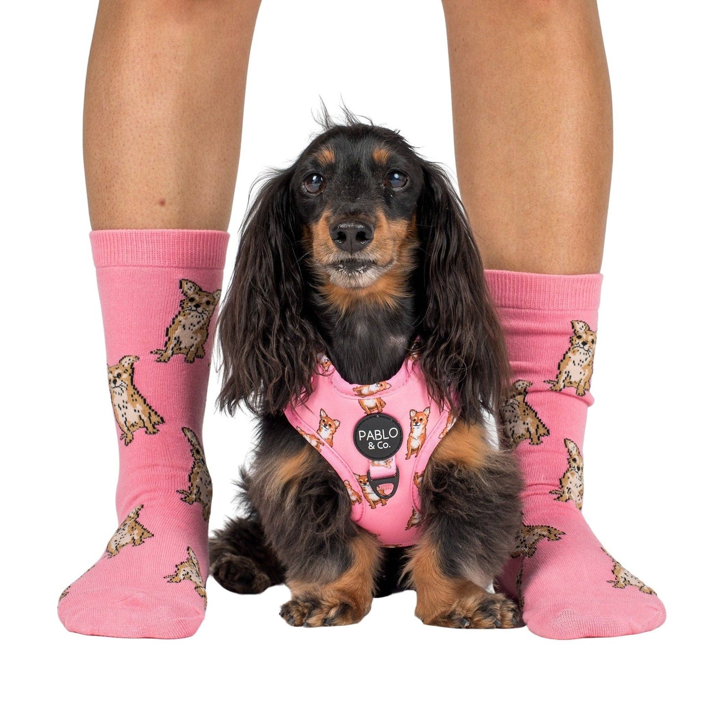 Chaussettes Dog Race: Teckel rose