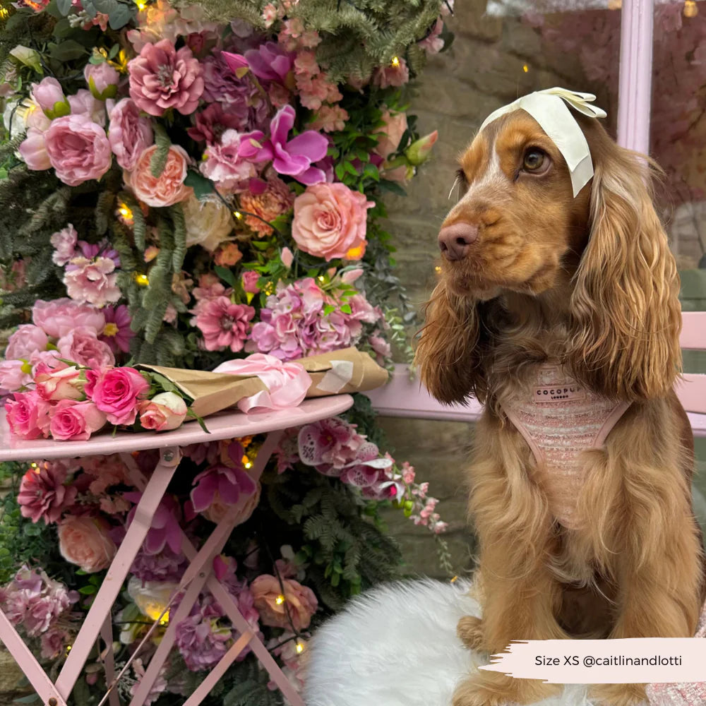 Pink Textured Tweed Adjustable Neck HARNESS