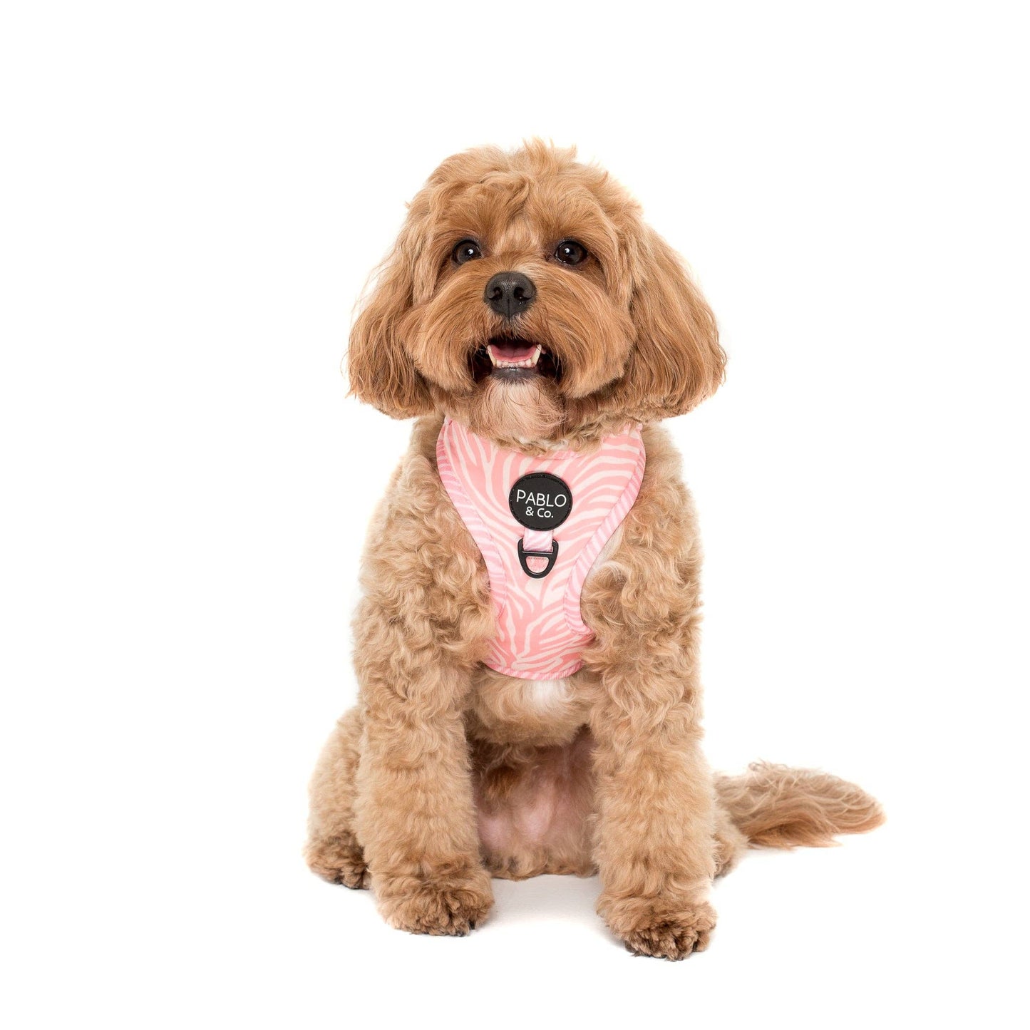 Pink Zebra : HARNAIS AJUSTABLE POUR CHIEN: Moyenne