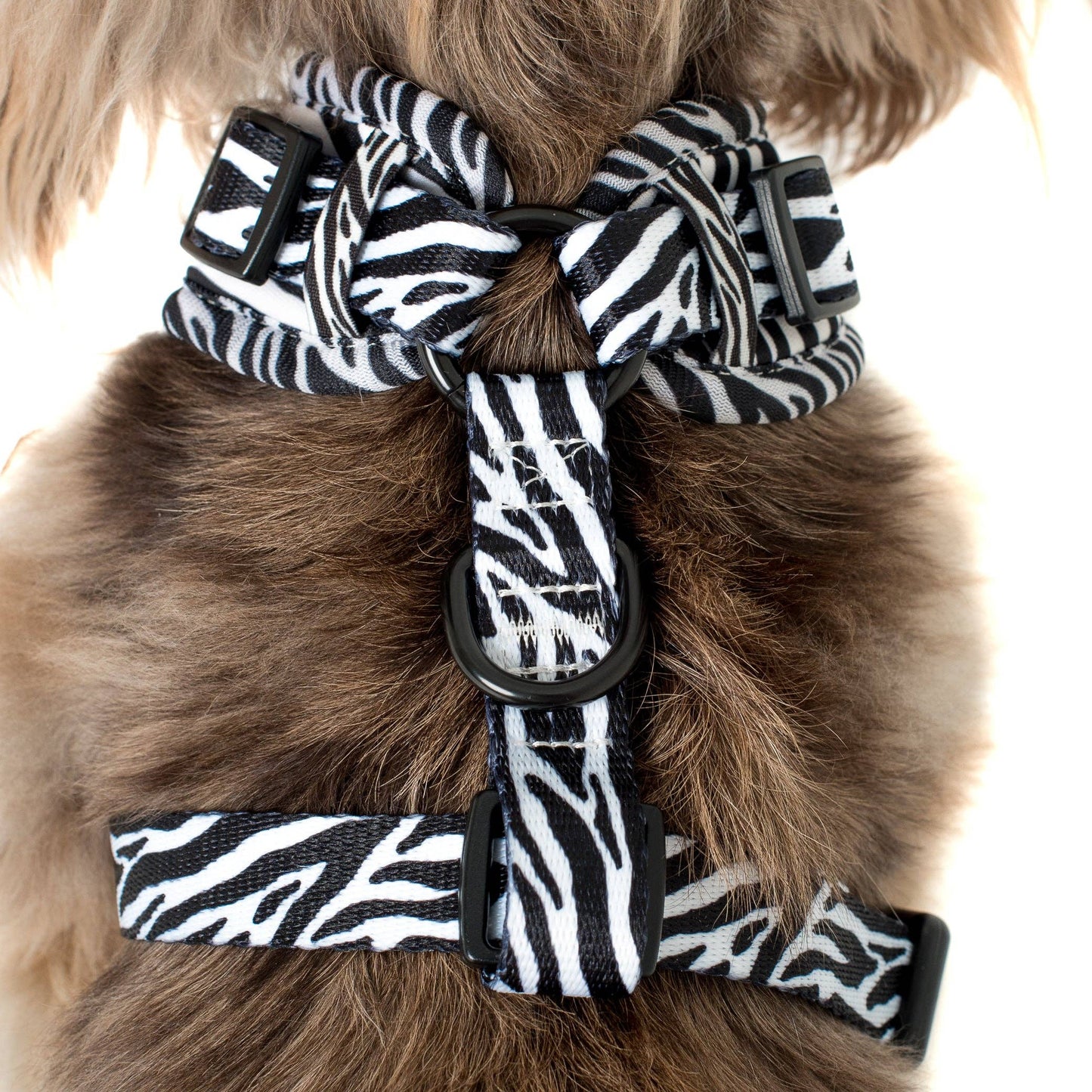 Black & White Zebra : HARNAIS AJUSTABLE POUR CHIEN