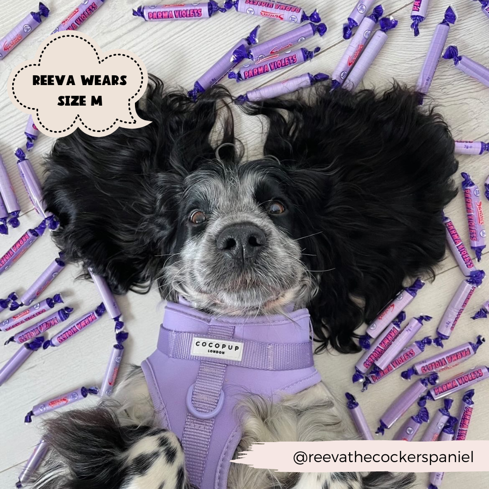 Arnés ajustable para perro NAKD Parma Violets: M