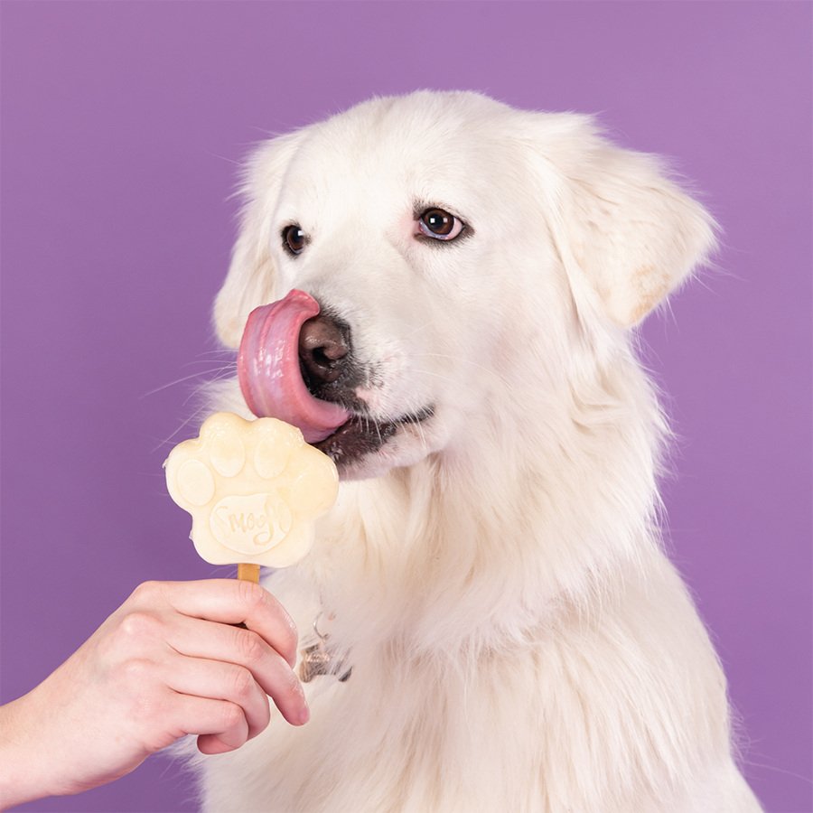 Mélange de banane pour glace pour chien