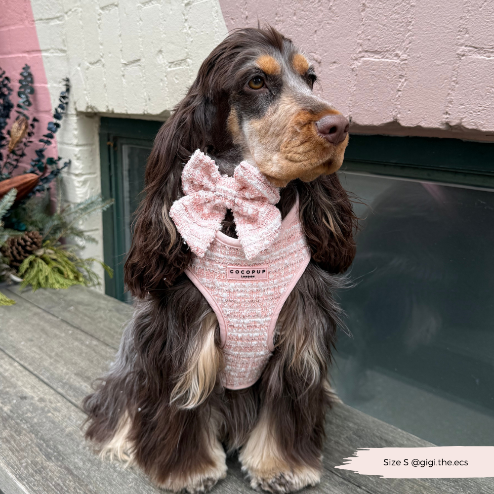 Nœud Papillon Marin en Tweed Texturé Rose