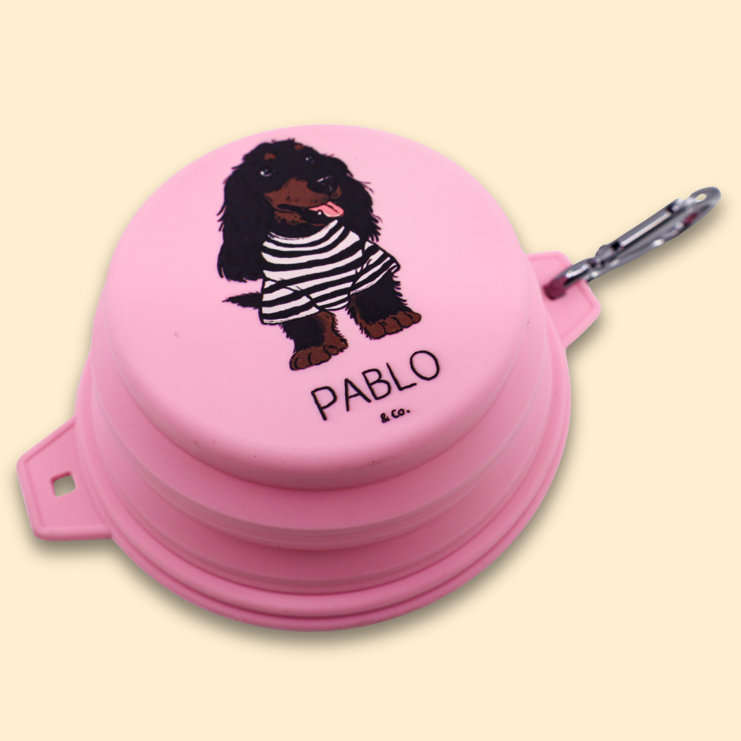 Bol à eau/nourriture pliable pour chien: Lavande