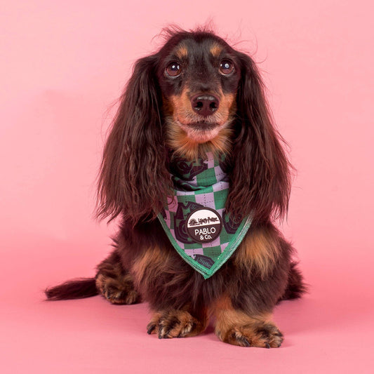 Harry Potter - Serpentard : Bandana pour chien: Moyenne
