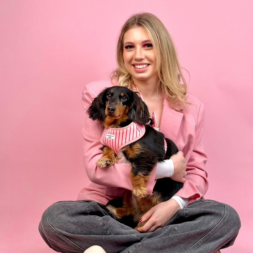 Arnés de Cuello Ajustable a Rayas de Caramelo: S