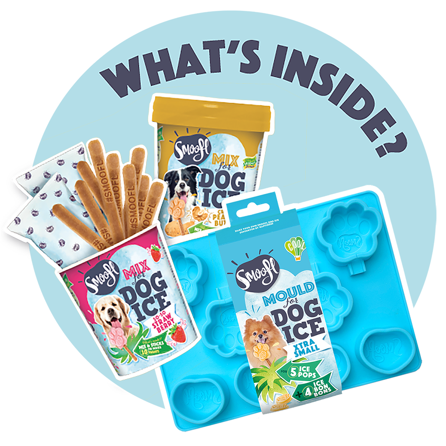 Kit de démarrage extra petit pour glace pour chien