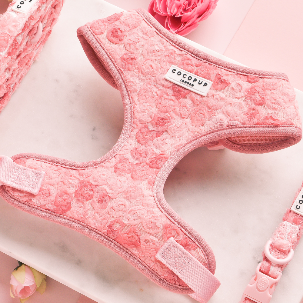 Harnais réglable pour cou Peony Pup: M