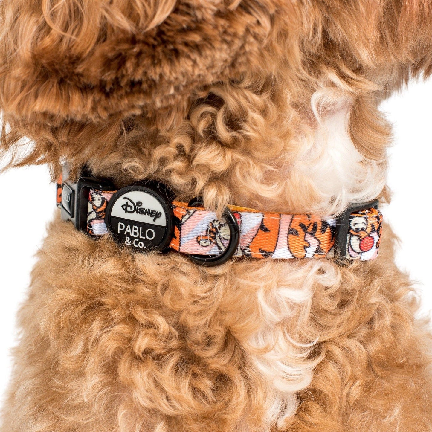 The One of a Kind Tigger : collier pour chien: S