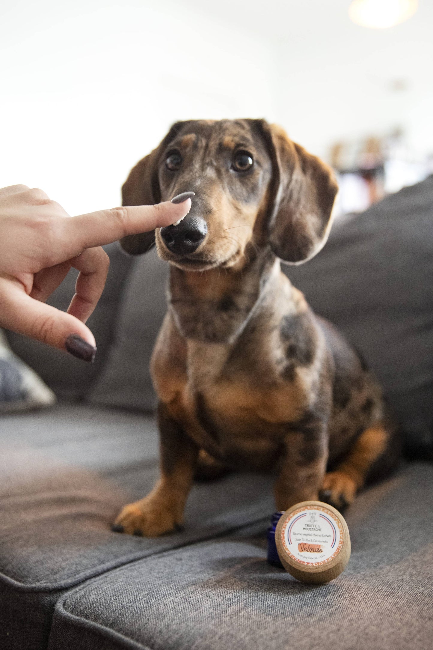 Baume Truffe & Coussinets pour chien & chat, "Velours"