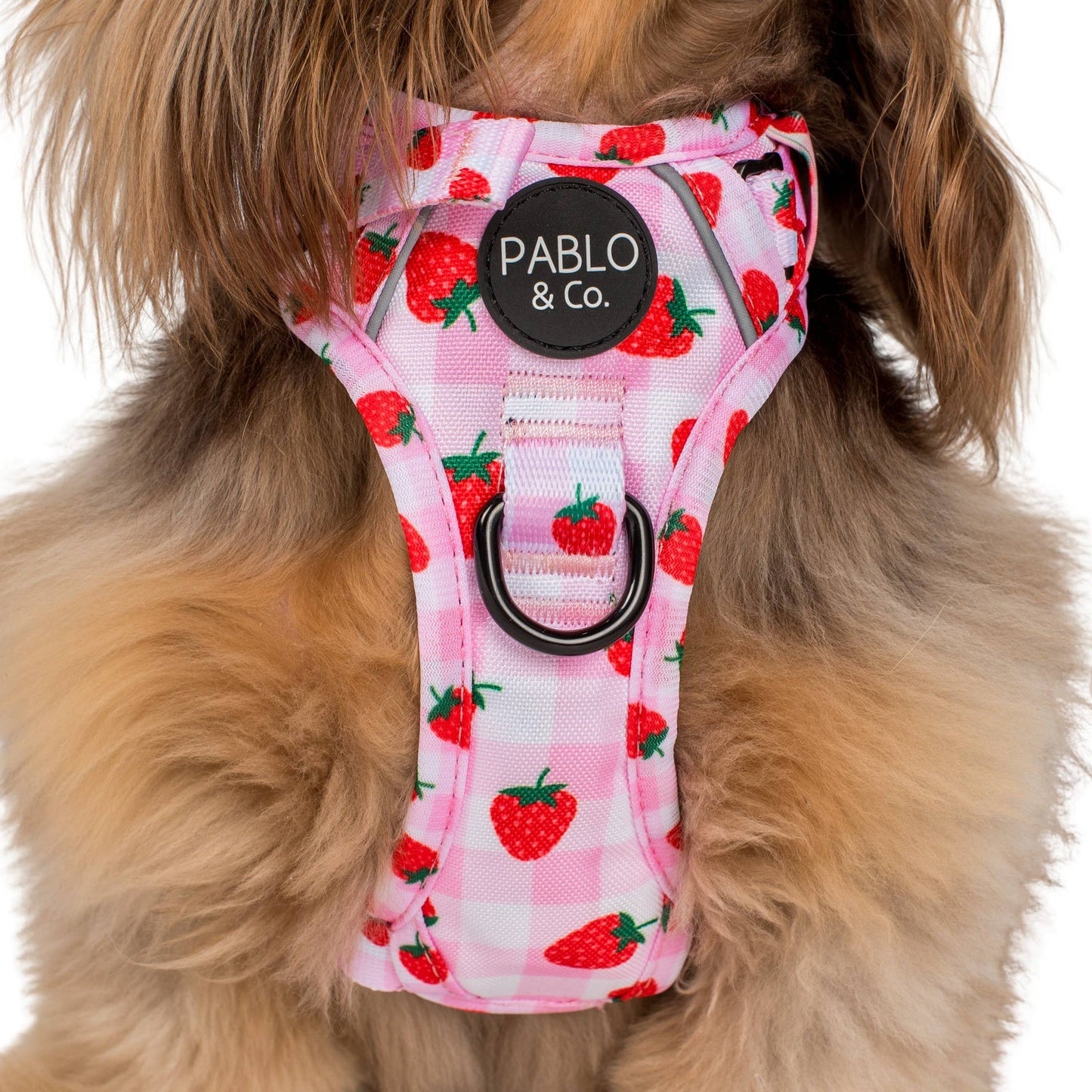 Strawberry Fields : harnais pour chien No Pull Adventure: M