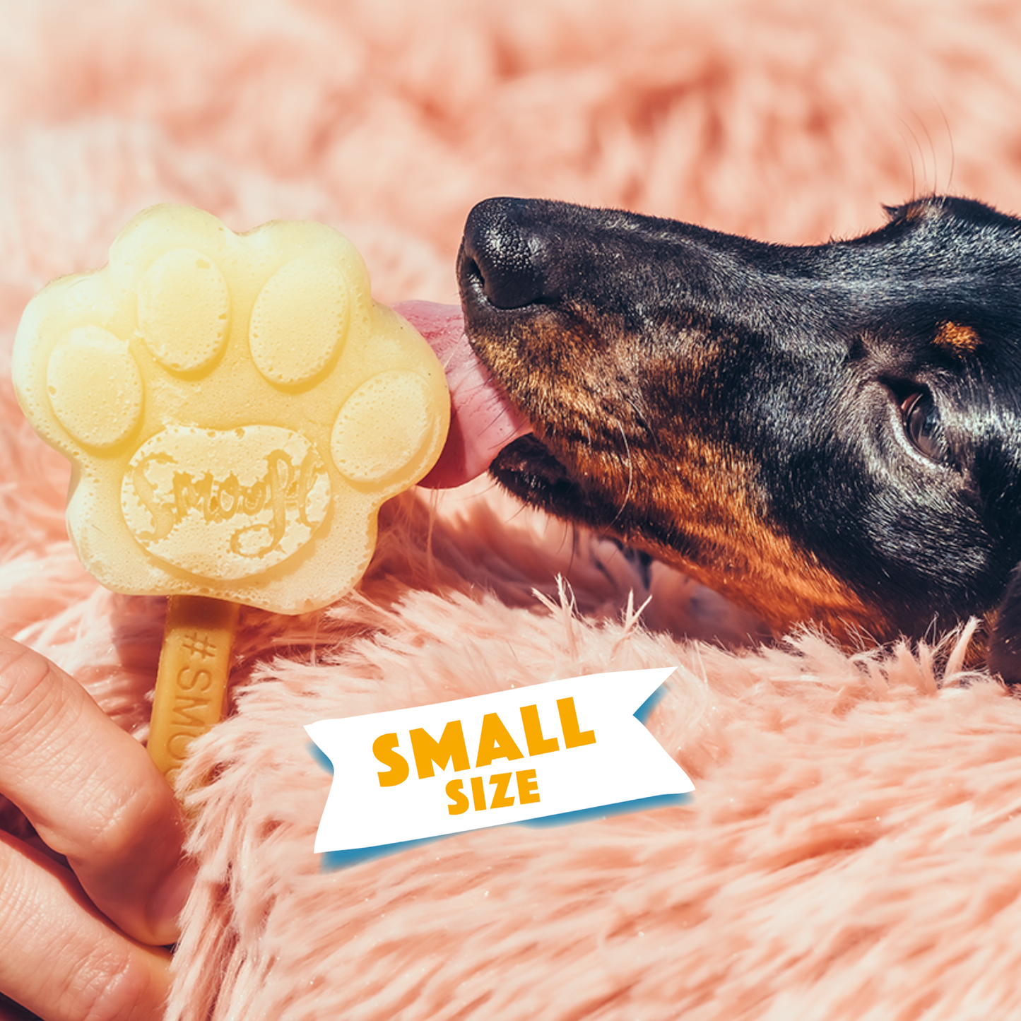 Petite forme de patte en silicone