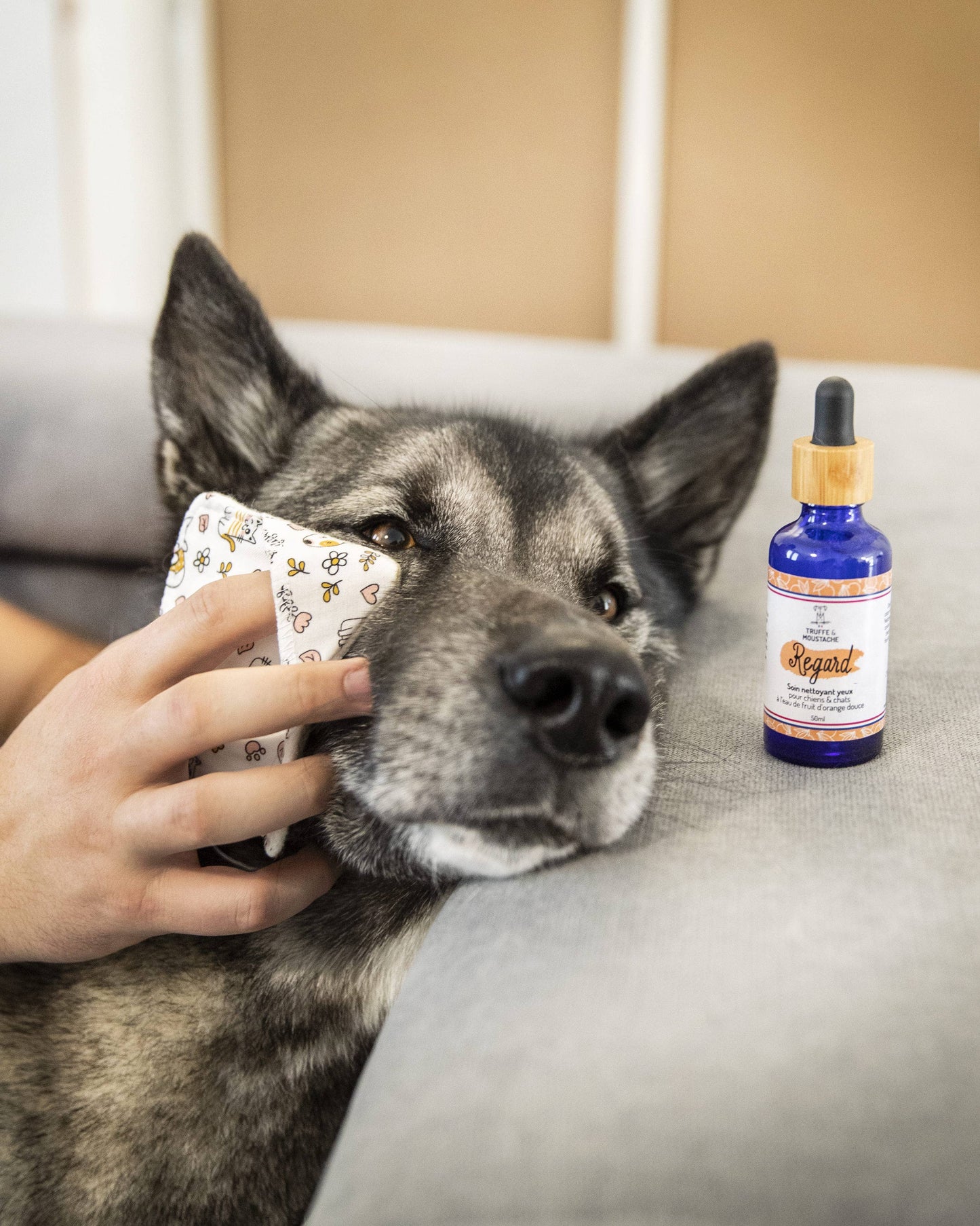 Soin Nettoyant yeux pour chien & chat, "Regard"