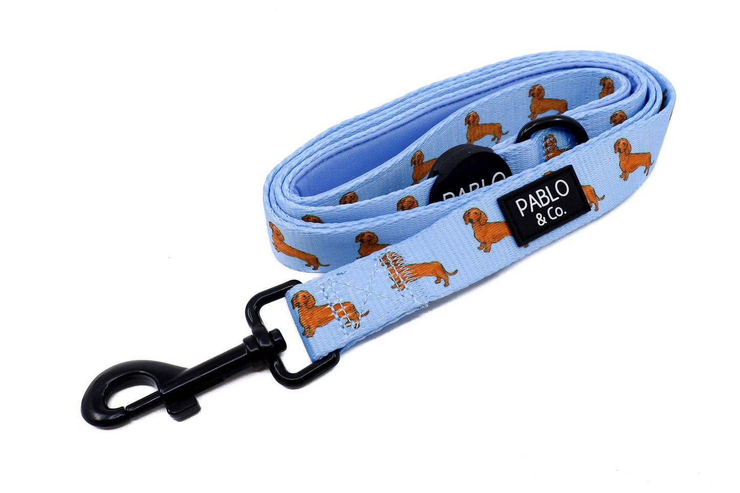 Teckel : laisse pour chien: 2.5cm