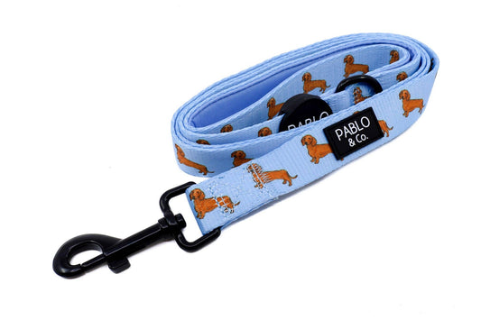 Teckel : laisse pour chien: 2.5cm