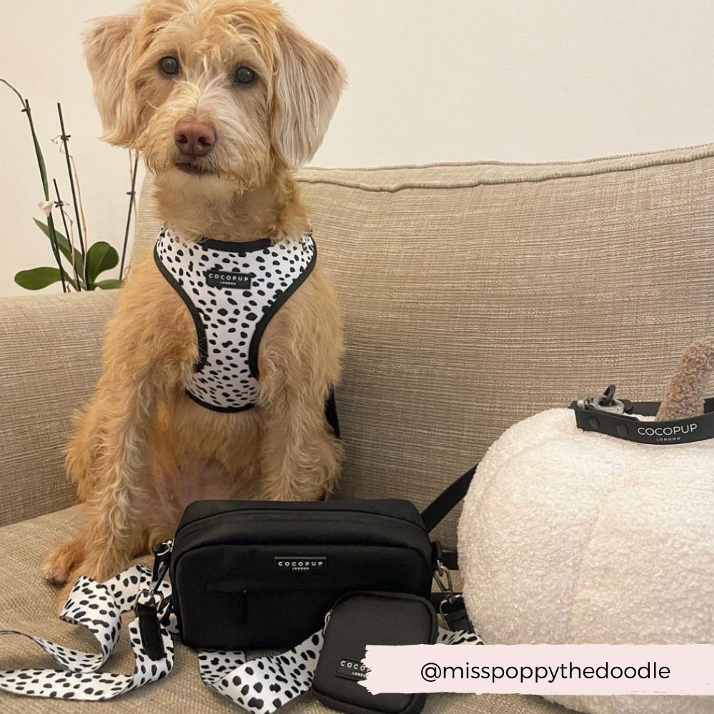 Arnés Ajustable para Perro con Estampado de Manchas Monocromáticas: M