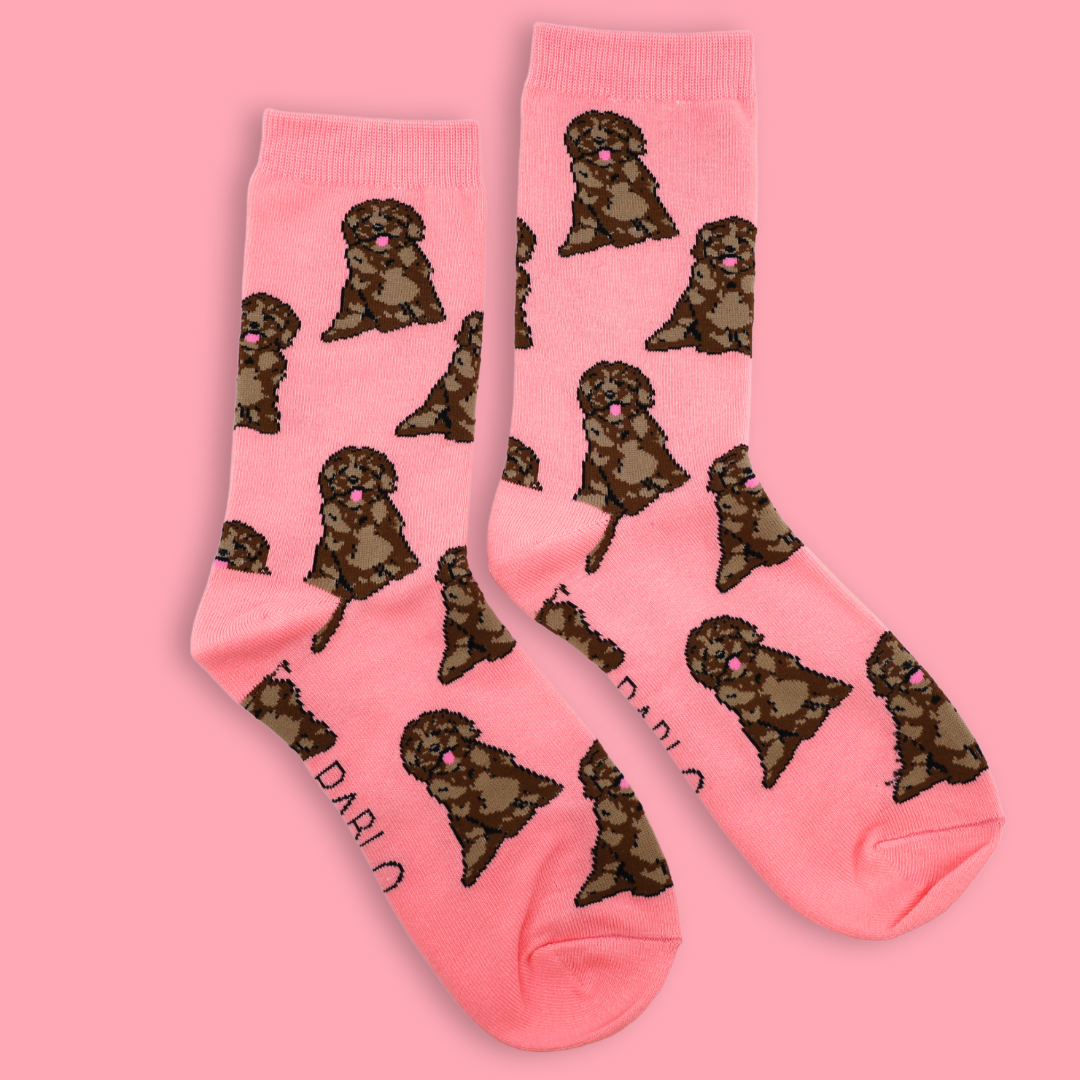 Chaussettes Dog Race: Bouledogue français