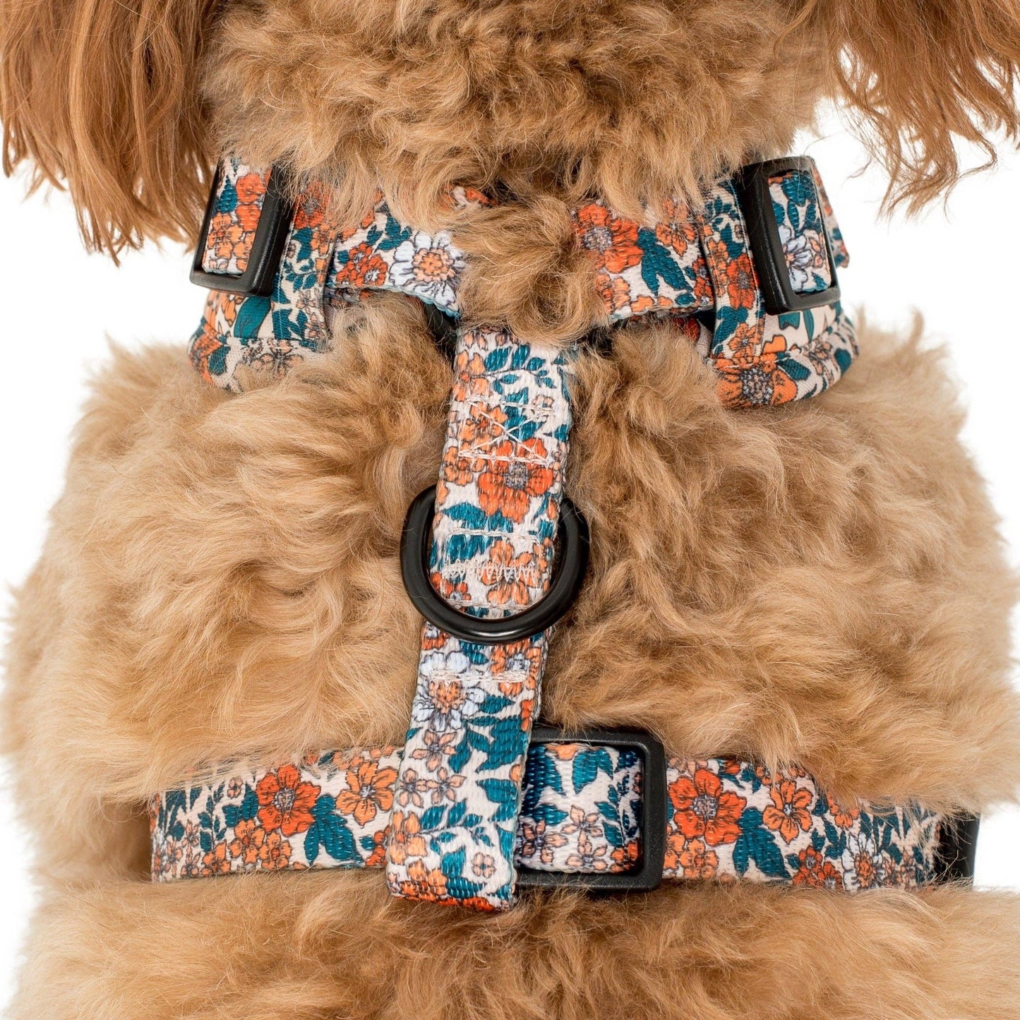 Wildflowers : HARNAIS AJUSTABLE POUR CHIEN