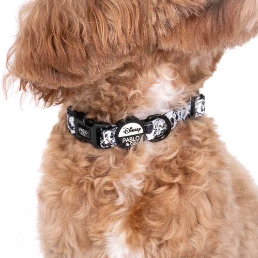 101 Dalmatians : Collier pour chien: S