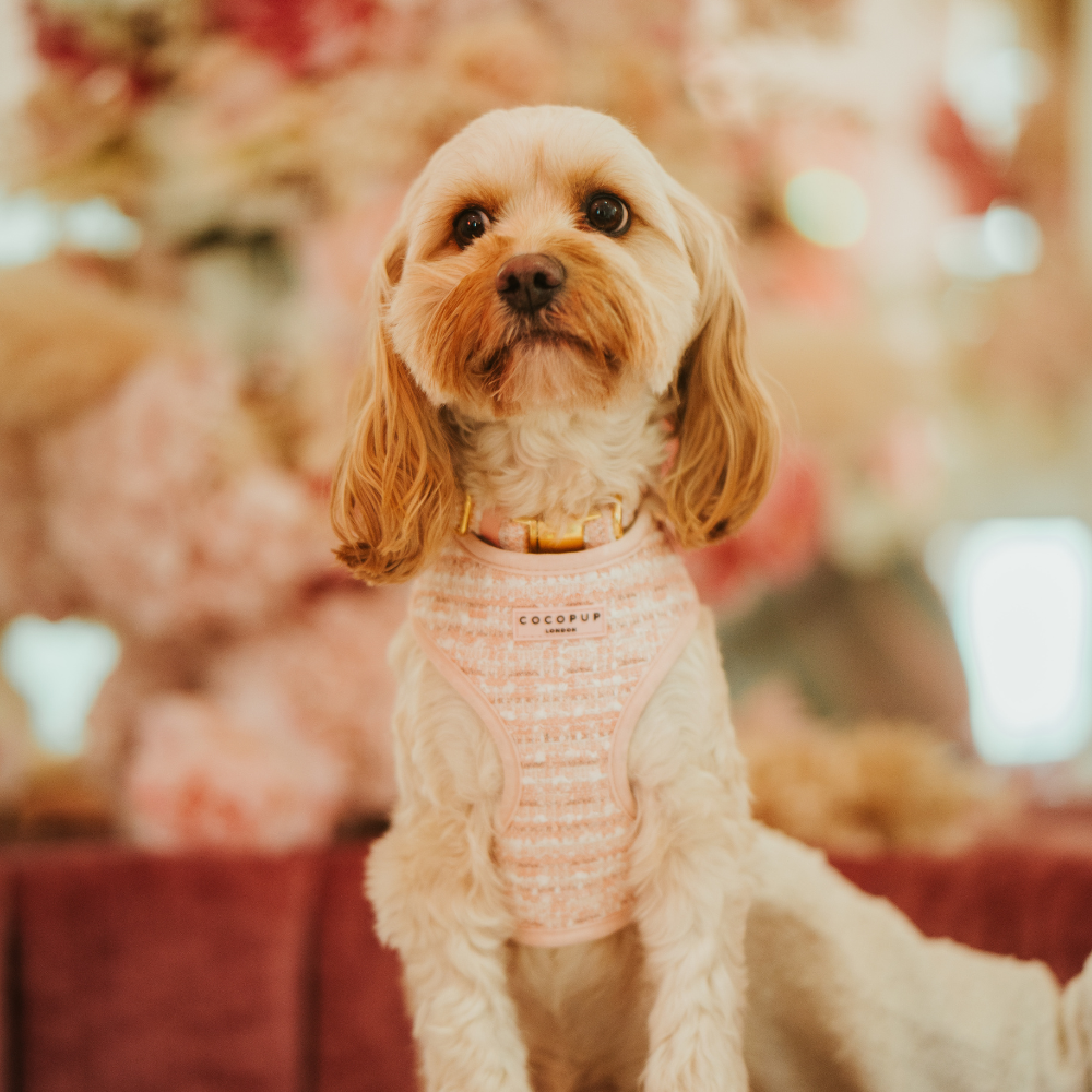 Col en tweed texturé rose