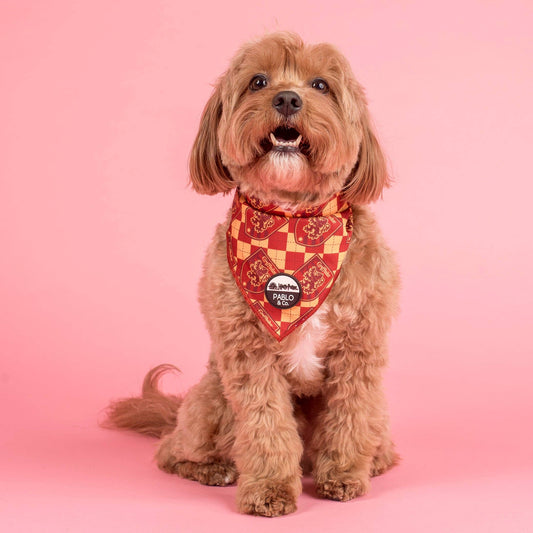 Harry Potter - Gryffondor : Bandana pour chien: Moyenne