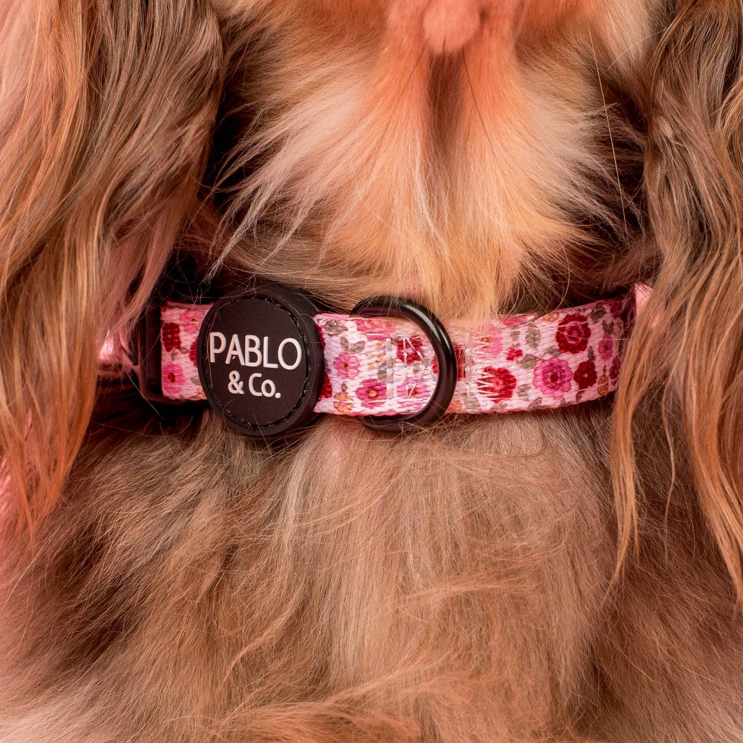 Primrose : Collier pour chien: S