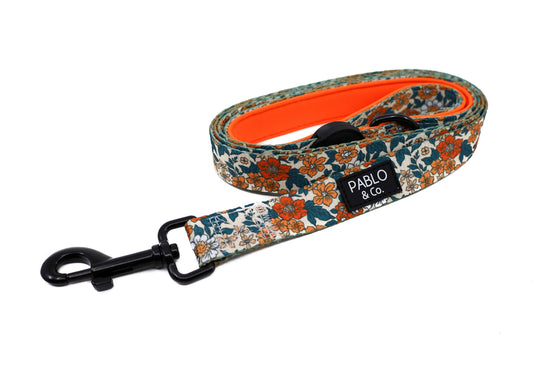 Wildflowers : LAISSE POUR CHIEN: 2.5cm