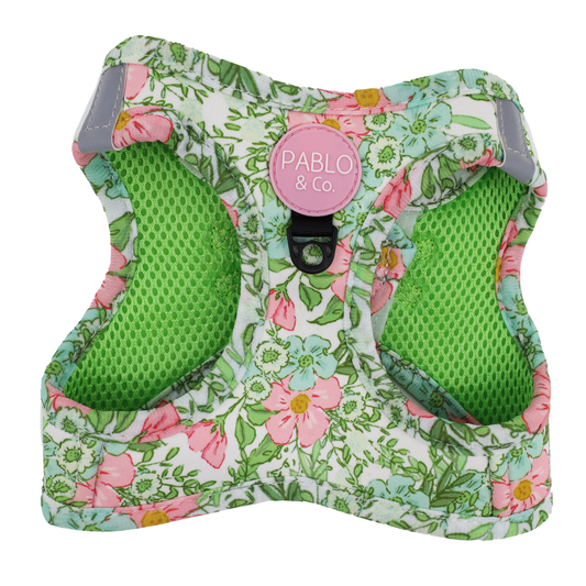 Flora & Fern : Harnais pour chat à enfiler: XS