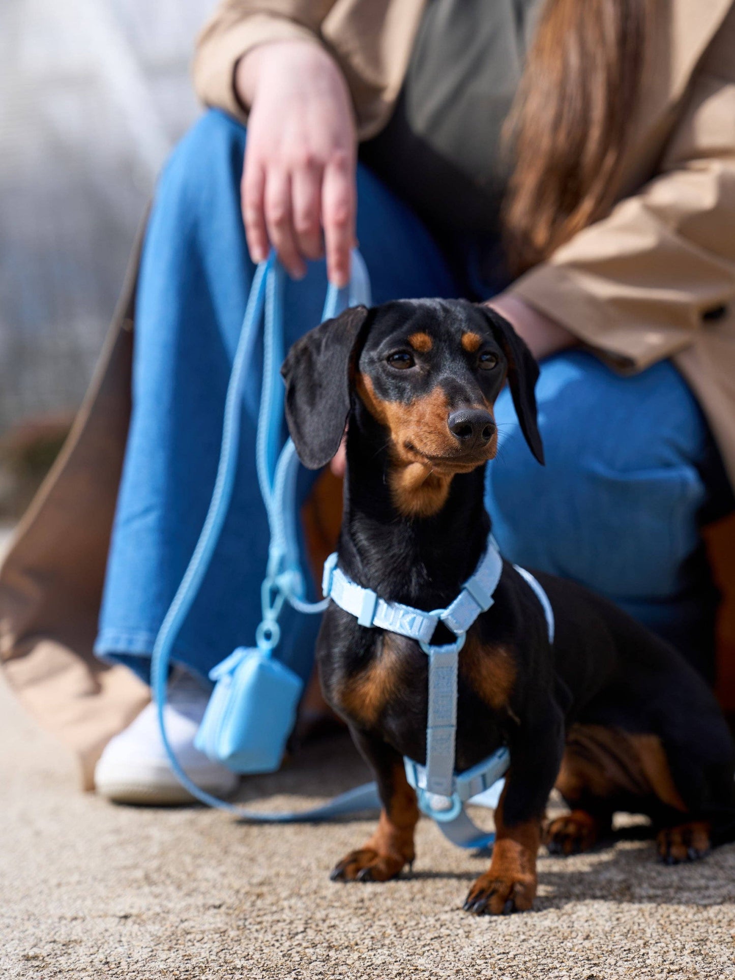 LAISSE POUR CHIEN SOFT BLUE