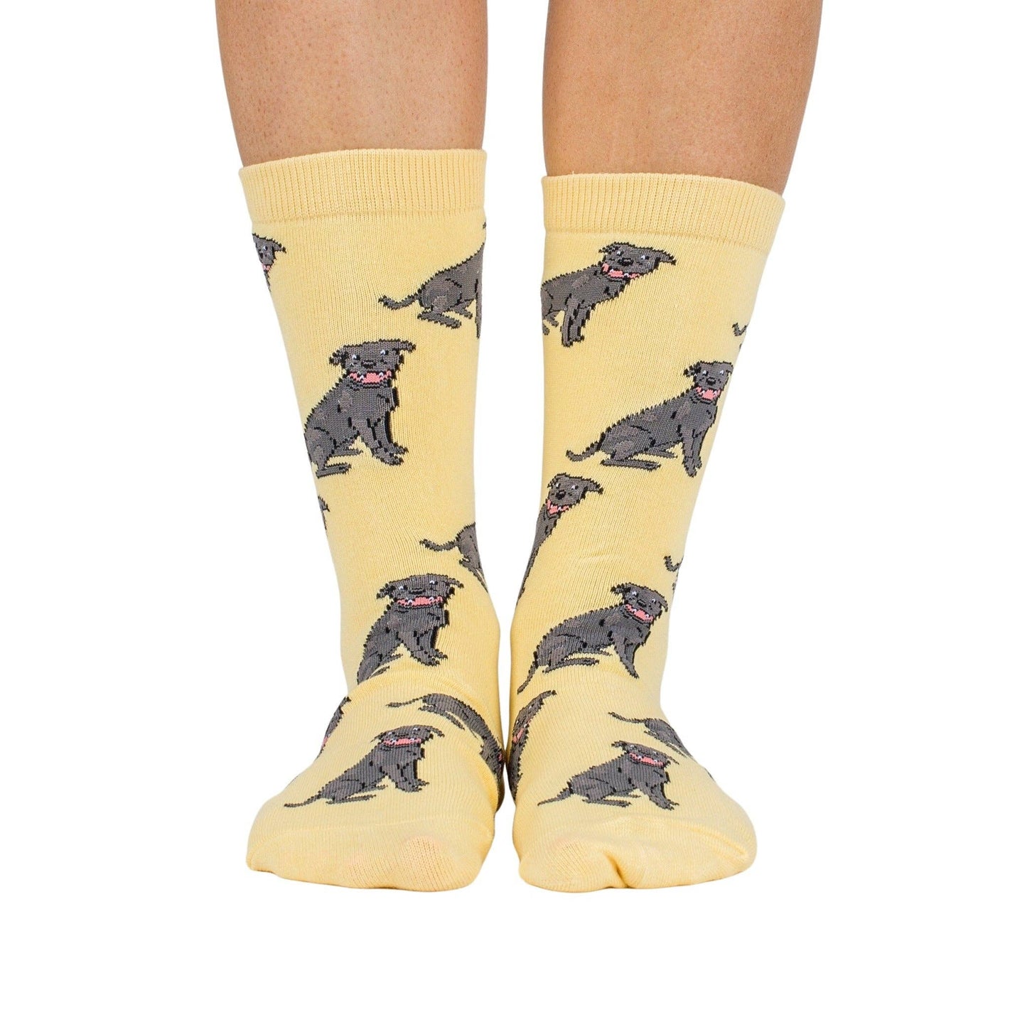 Chaussettes Dog Race: Poméranie