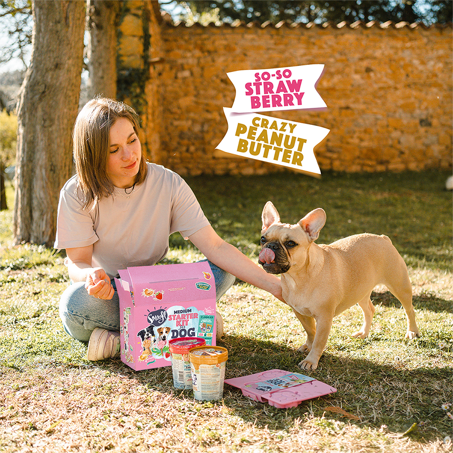 Kit de démarrage moyen pour glace pour chien