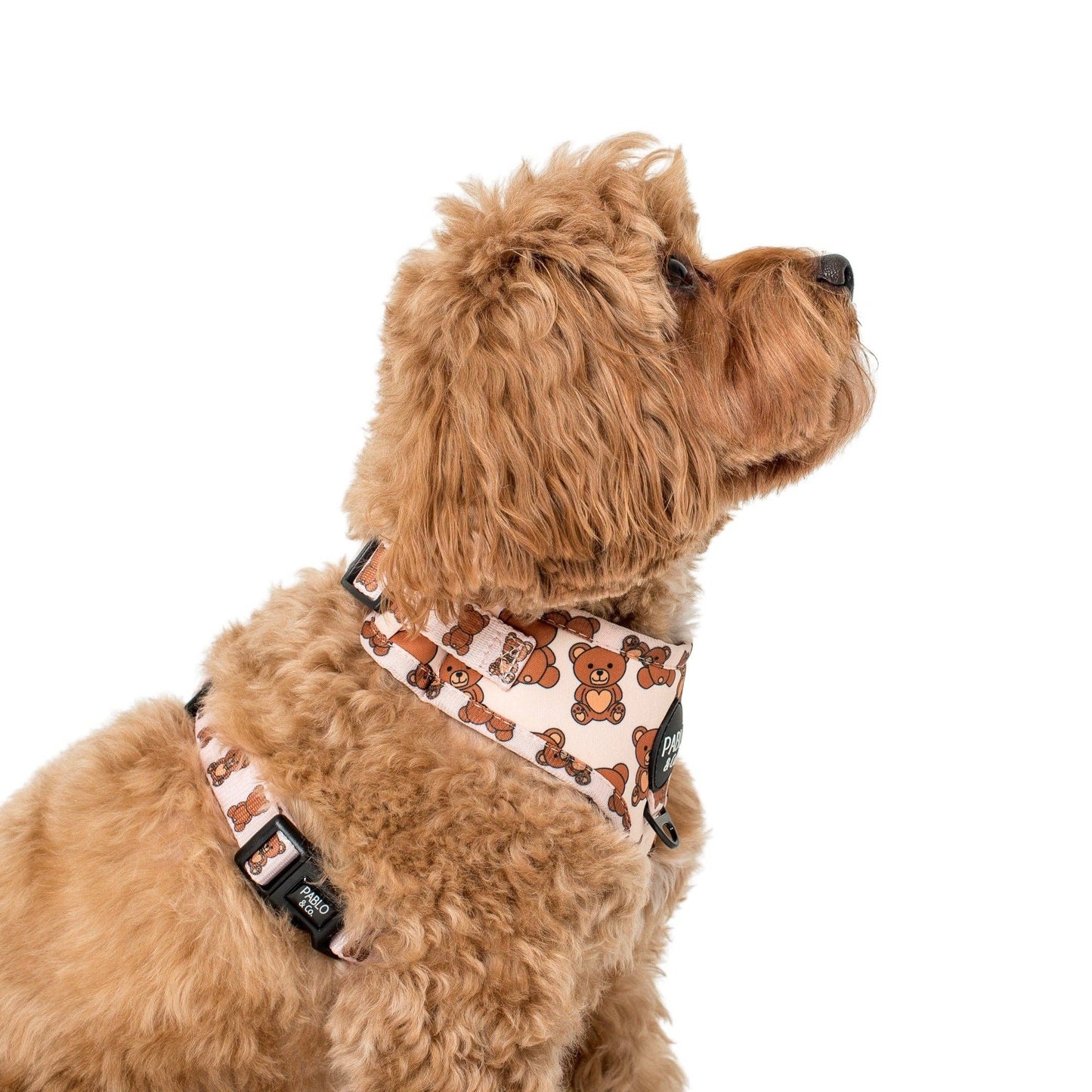 Teddy Bears Picnic : HARNAIS AJUSTABLE POUR CHIEN