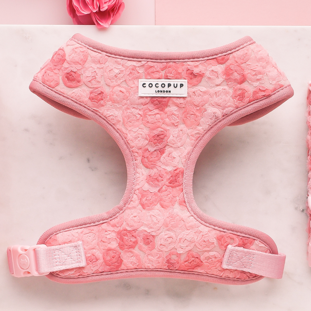 Harnais réglable pour cou Peony Pup: M