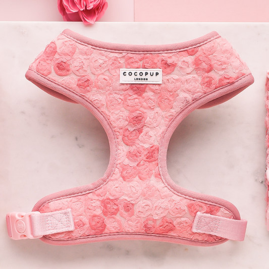 Harnais réglable pour cou Peony Pup: M