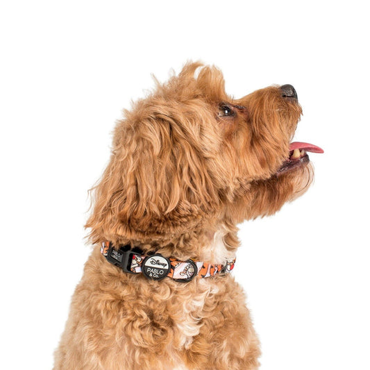The One of a Kind Tigger : collier pour chien: S