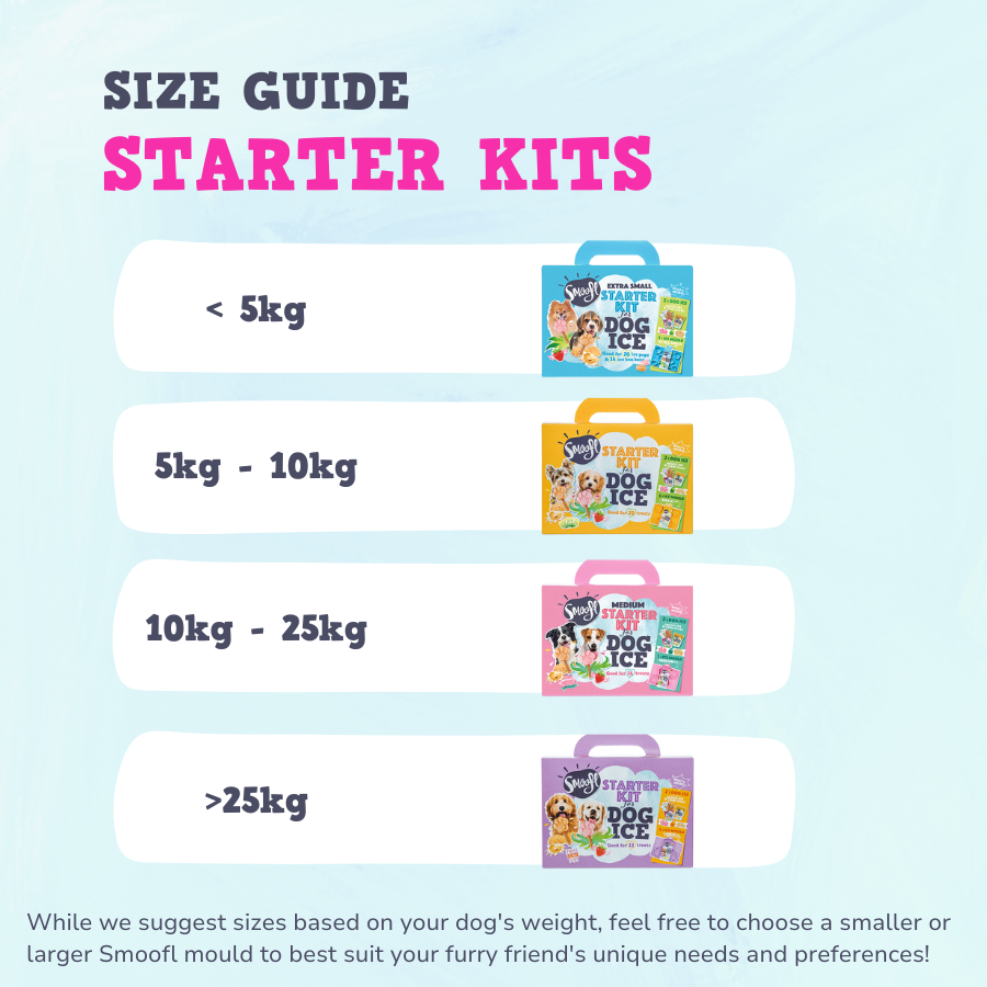Kit de démarrage moyen pour glace pour chien