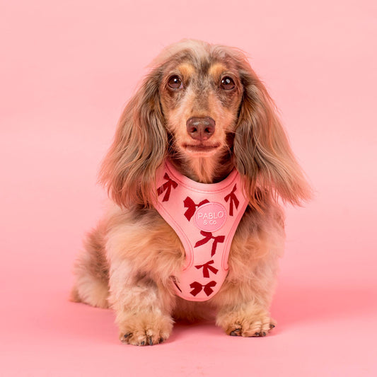 Harnais pour chien réglable : Nœuds en velours rose: XS