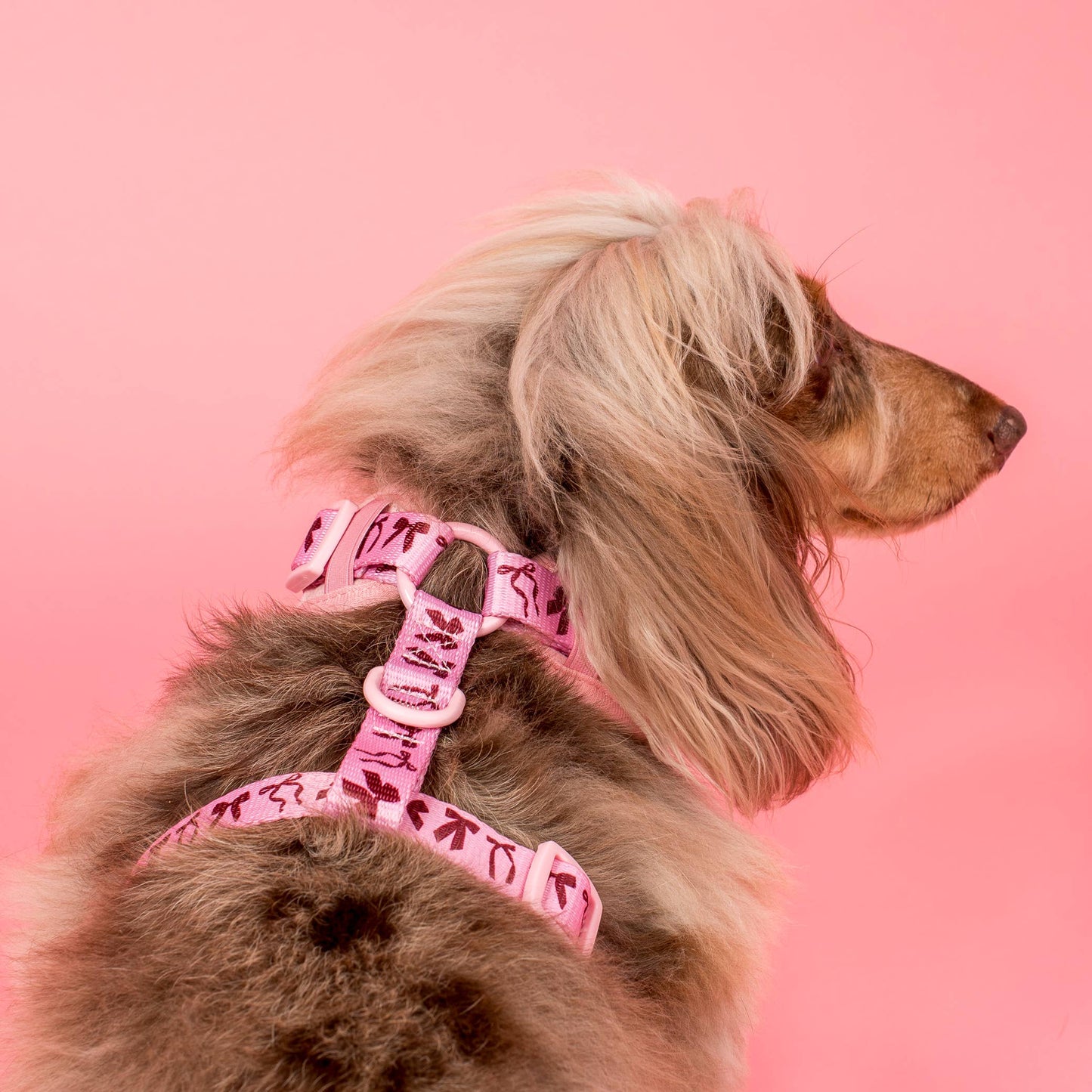 Harnais pour chien réglable : Nœuds en velours rose: XS