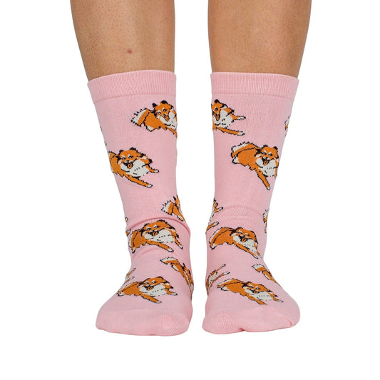 Chaussettes Dog Race: Poméranie