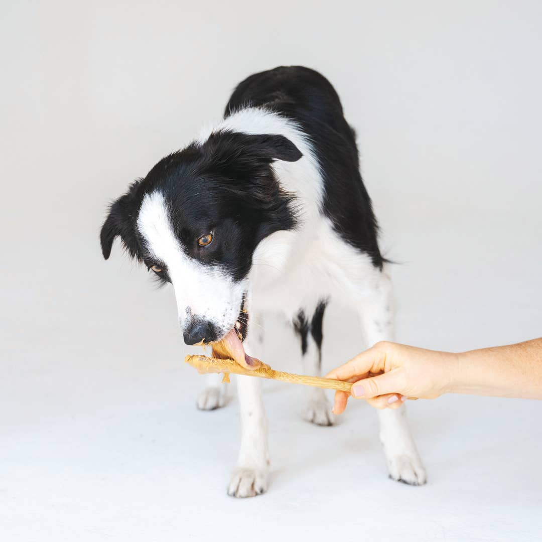 Gâteries Gizzls Minty Fresh pour chiens (200g)