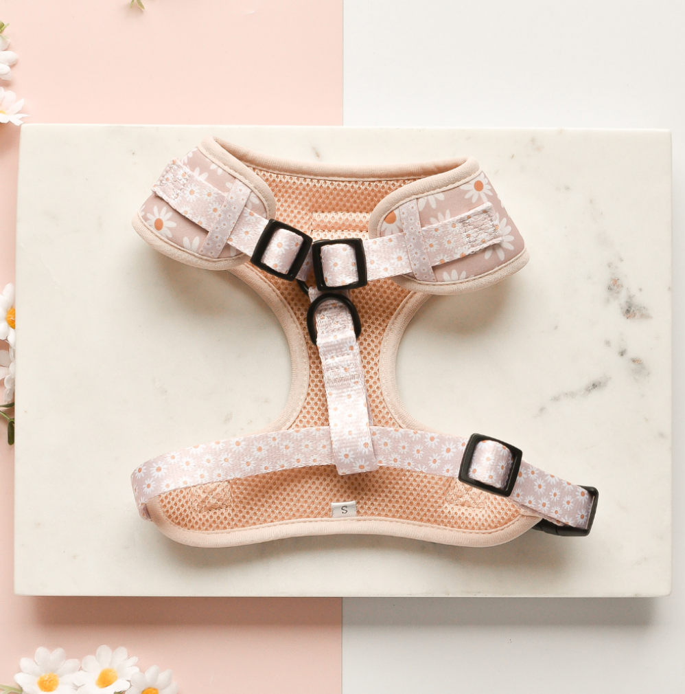 Harnais de cou ajustable Daisy Chain: M