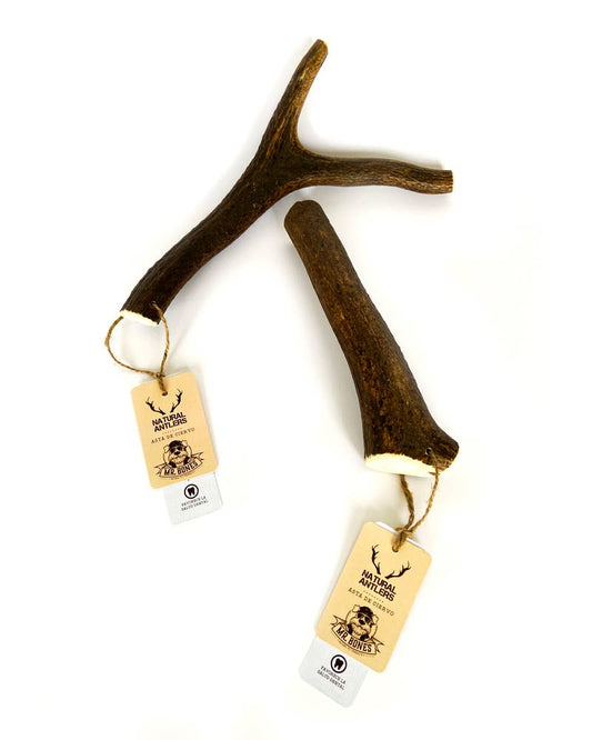 Bois de cerf M (76 - 150g) - Jouet à mâcher naturel pour chiens