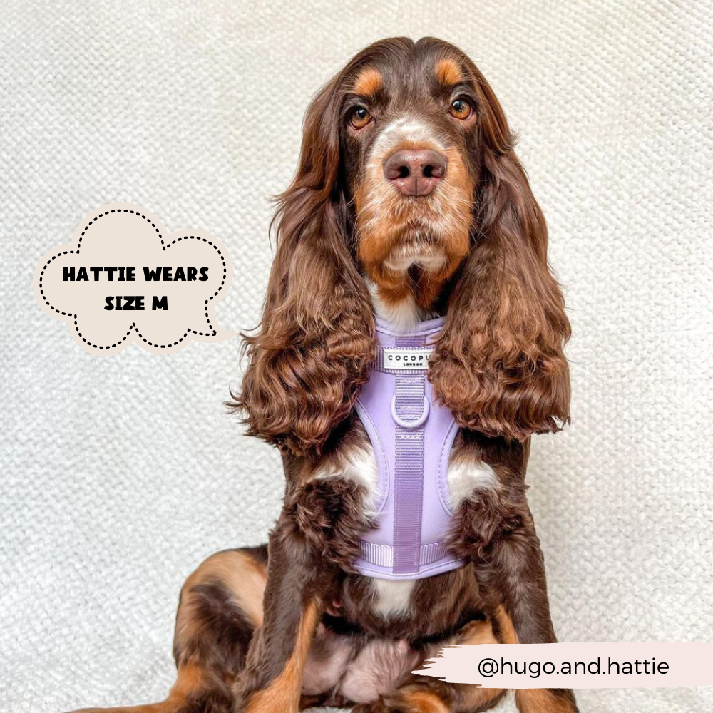 Arnés ajustable para perro NAKD Parma Violets: M