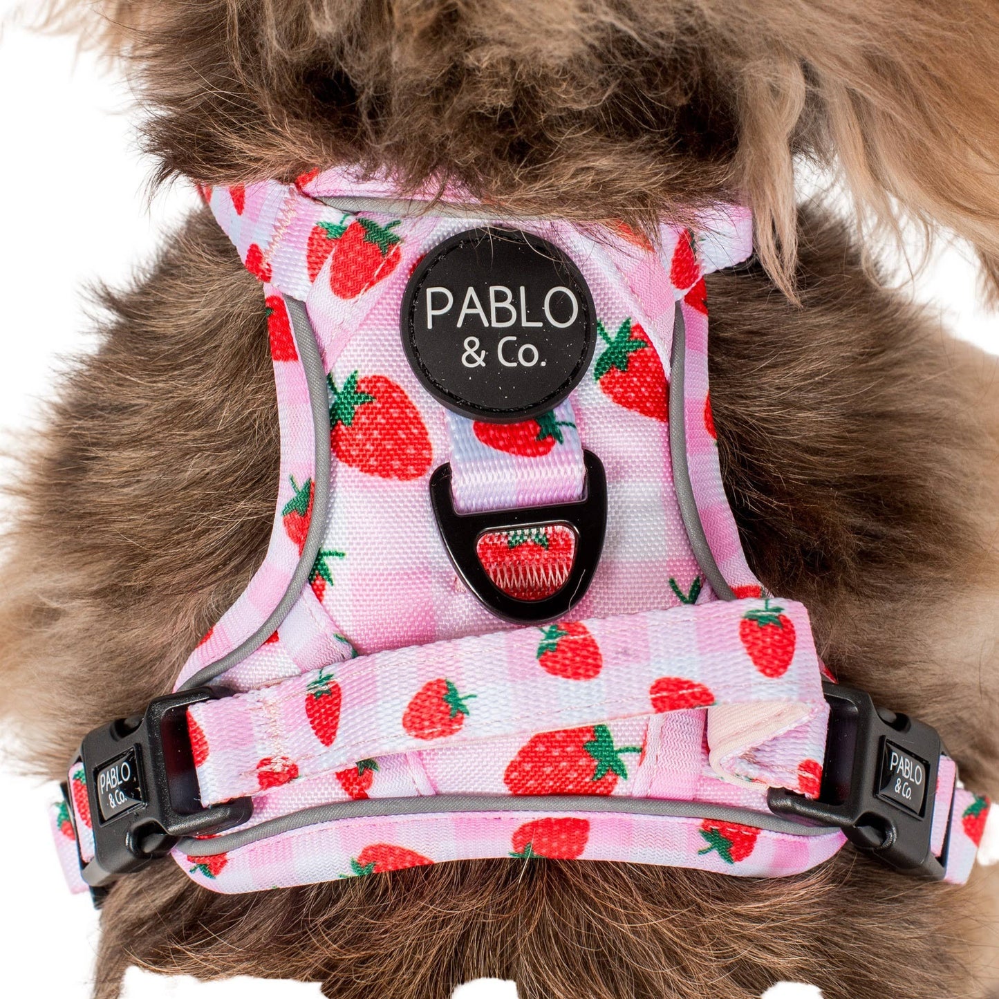 Strawberry Fields : harnais pour chien No Pull Adventure: M