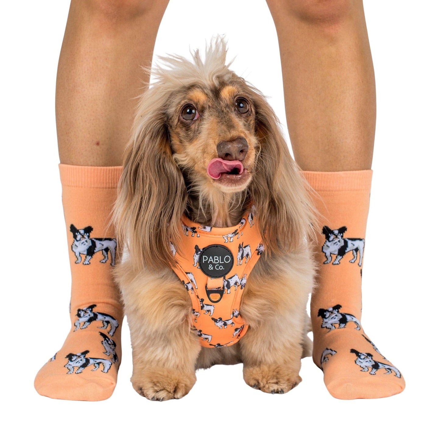 Chaussettes Dog Race: Teckel rose