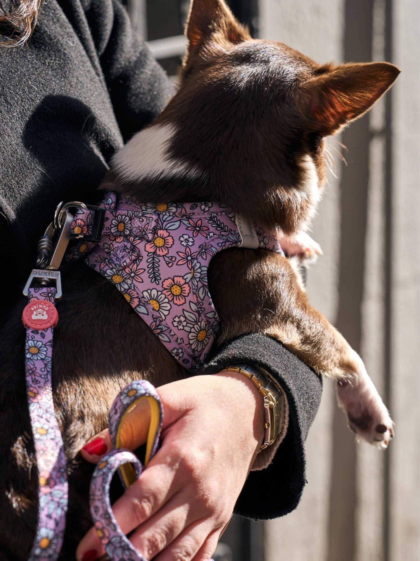 HARNAIS BODY CHIEN FLOWER POWER