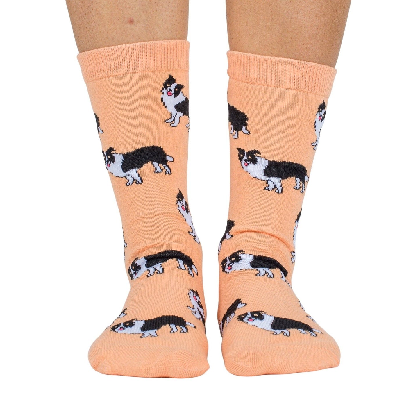 Chaussettes Dog Race: Poméranie