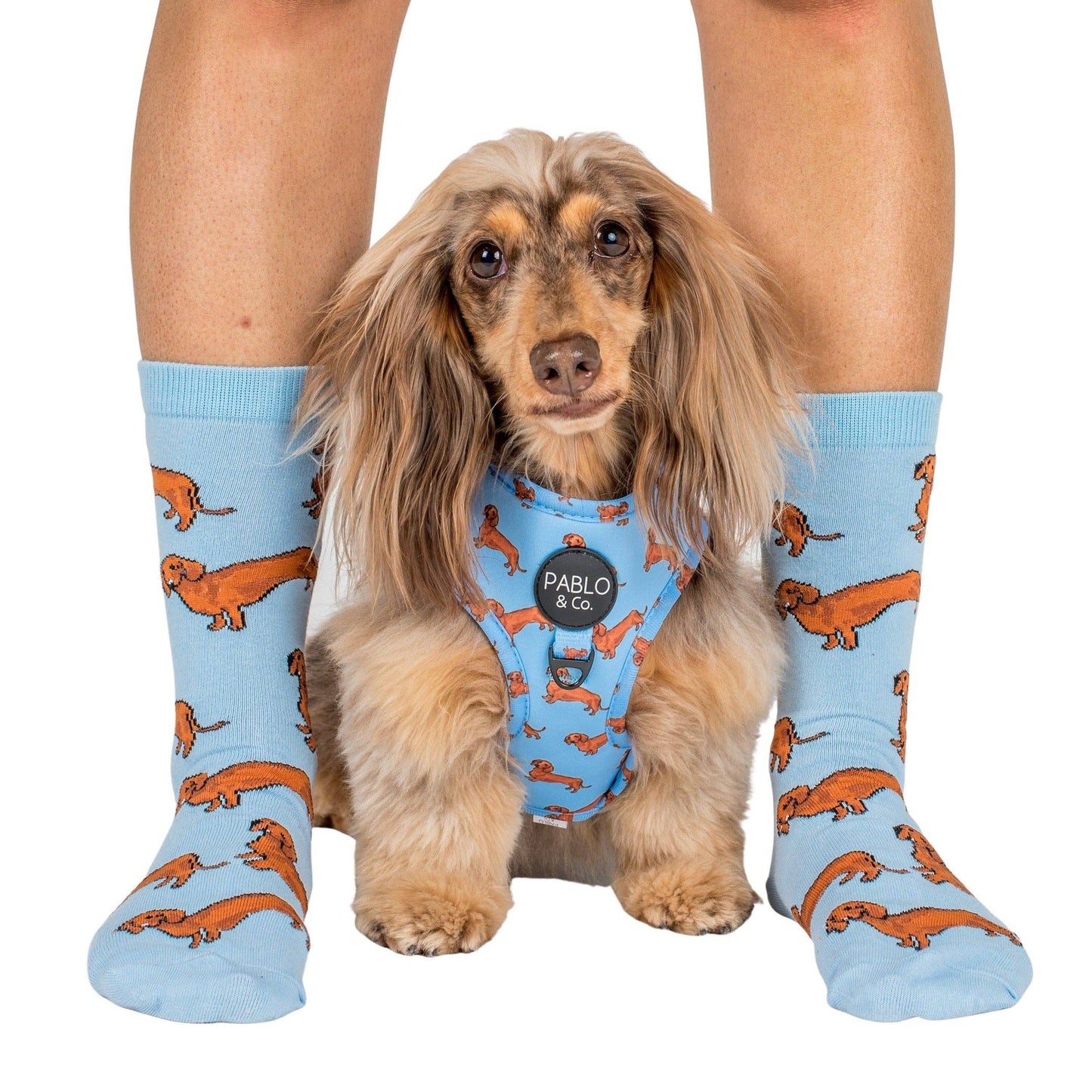 Chaussettes Dog Race: Teckel rose