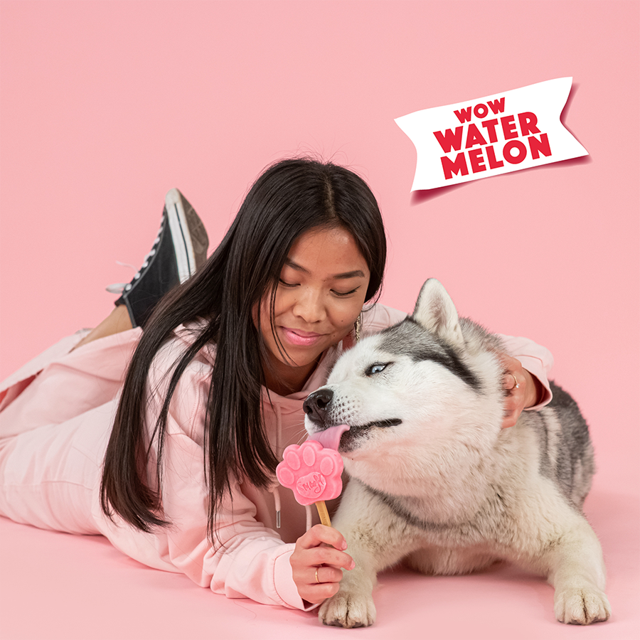 Mélange de pastèque pour glace pour chien