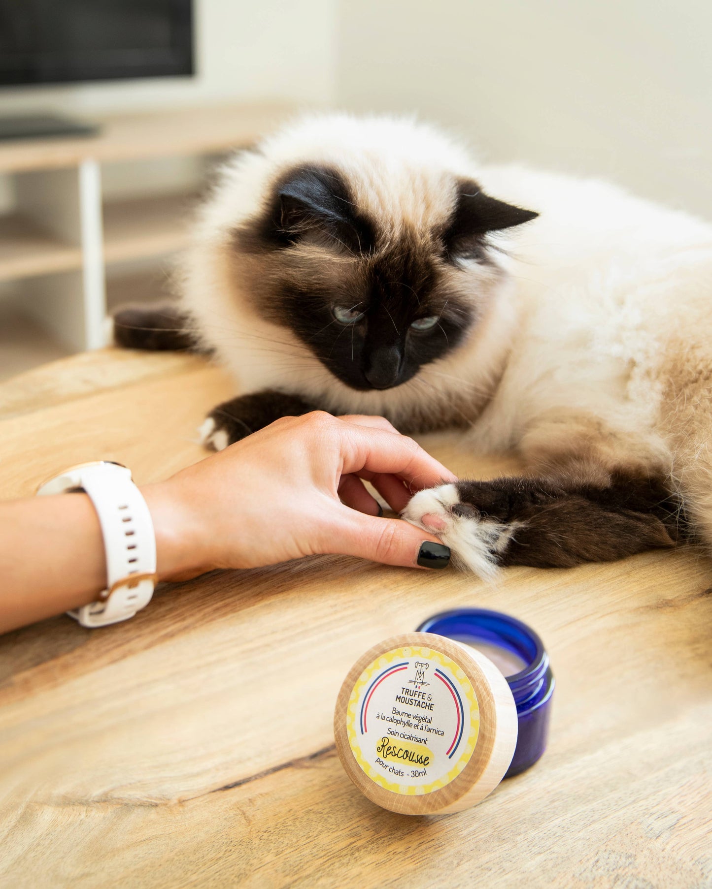 Baume de Soin Cicatrisant pour chat, "Rescousse"